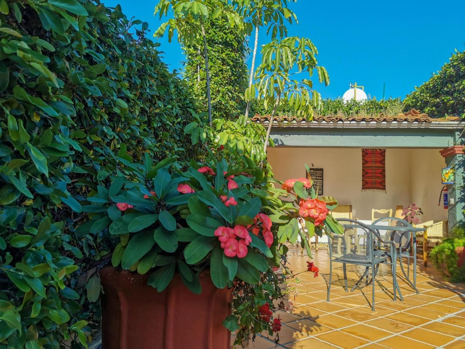 Hotel Casa Guiva Oaxaca 外观 照片