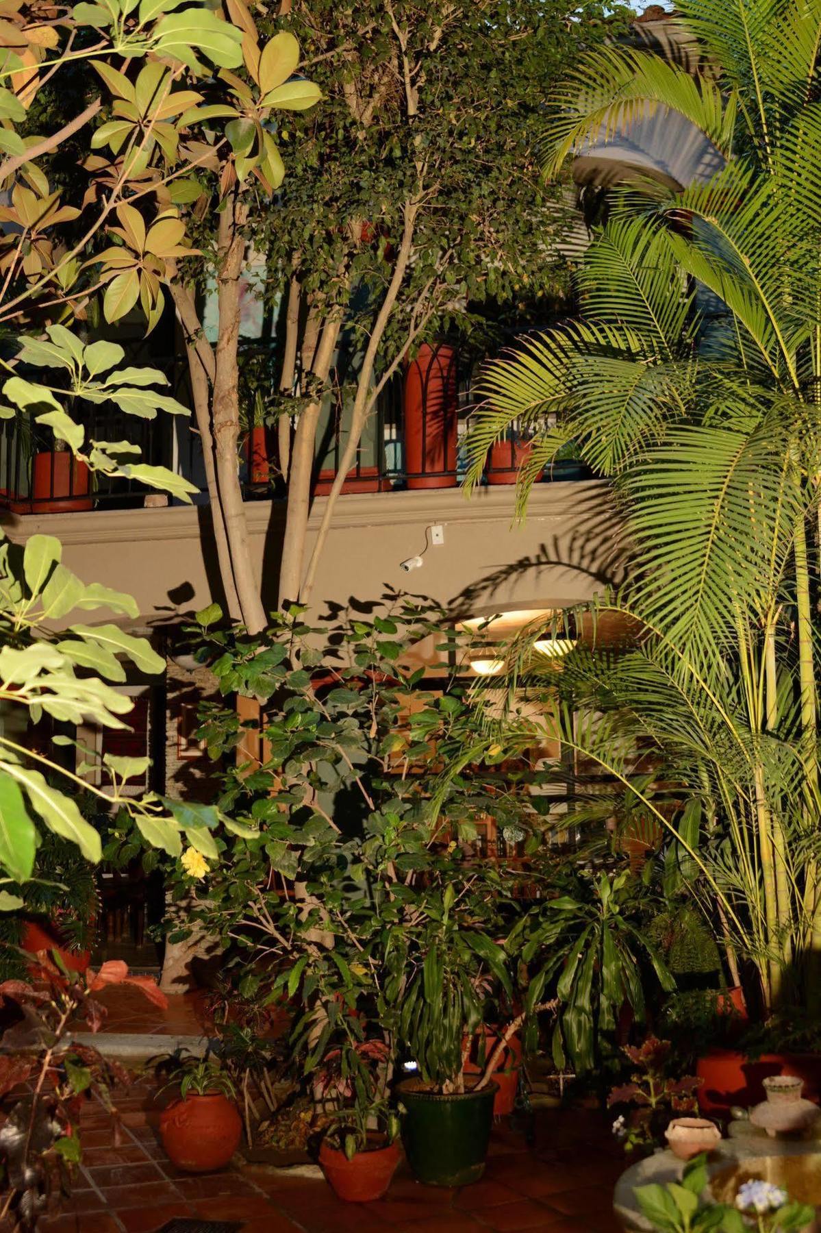Hotel Casa Guiva Oaxaca 外观 照片